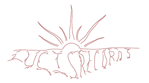 Lucis Records